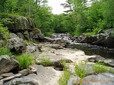 Big Rib River, a trout stream in WC Wisconsin.