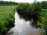 Middle Fork Copper River, a trout stream in WC Wisconsin.