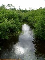 North Fork Copper River, a trout stream in WC Wisconsin.