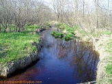 Duncan Creek, a trout stream in WC Wisconsin.