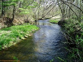 Elk Creek, a trout stream in WC Wisconsin.