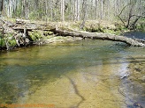 Elk Creek, a trout stream in WC Wisconsin.