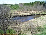 Hay River, a trout stream in WC Wisconsin.