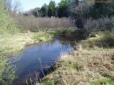 Hay River, a trout stream in WC Wisconsin.