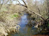 South Fork Hay River, a trout stream in WC Wisconsin.