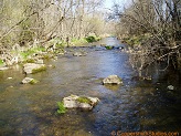 South Fork Hay River, a trout stream in WC Wisconsin.