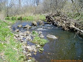 South Fork Hay River, a trout stream in WC Wisconsin.