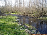 South Fork Main Creek, a trout stream in WC Wisconsin.