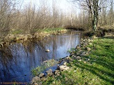 South Fork Main Creek, a trout stream in WC Wisconsin.