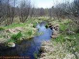 McCann Creek, a trout stream in WC Wisconsin.