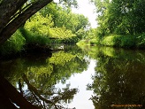 South Fork Jump River near Cty I