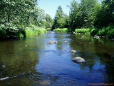 North Fork Jump River, WI