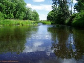 North Fork Jump River, WI