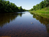 Jump River near Sheldon, WI