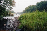 Jump River near Sheldon, WI