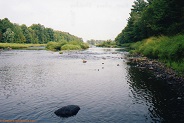 Jump River near Sheldon, WI