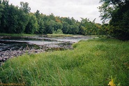 Jump River near Cty G, WI