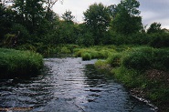 Main Creek, WI