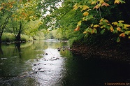 Main Creek, WI