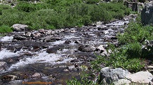 Elbow Creek