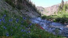 Elbow Creek