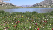 Summit Lake