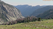 Pine River canyon