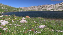 Lower Noname Lake