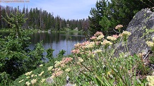 Trail Lake, Wind River Mountains