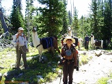 Lamas, Wind River Mountains