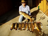 Carp from Beaver Dam River