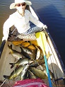 Fish from Beaver Dam River