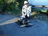 Fish from the Beaver Dam River