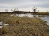 Beaver Dam River