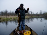 Oconomowoc River Carp