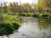 Bark River