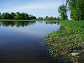 Lower Bark River, WI