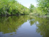 Bark River, WI