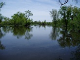 Bark River