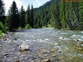 Greys River in Wyoming