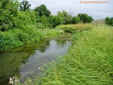 Sand Creek in Wyoming