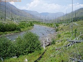 North Fork Shoshone River in Wyoming