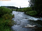 North Fork Tongue River in Wyoming