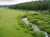 North Fork Tongue River in Wyoming