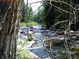 South Fork Tongue River in Wyoming