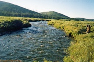 Gallatin River