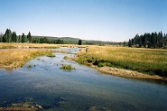 Gibbon River
