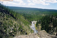 Gibbon River