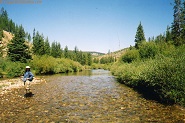 Grayling Creek