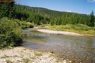 Grayling Creek